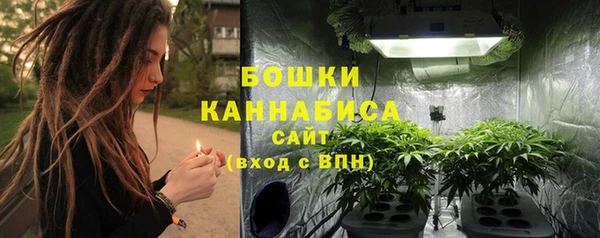 шишки Верхний Тагил